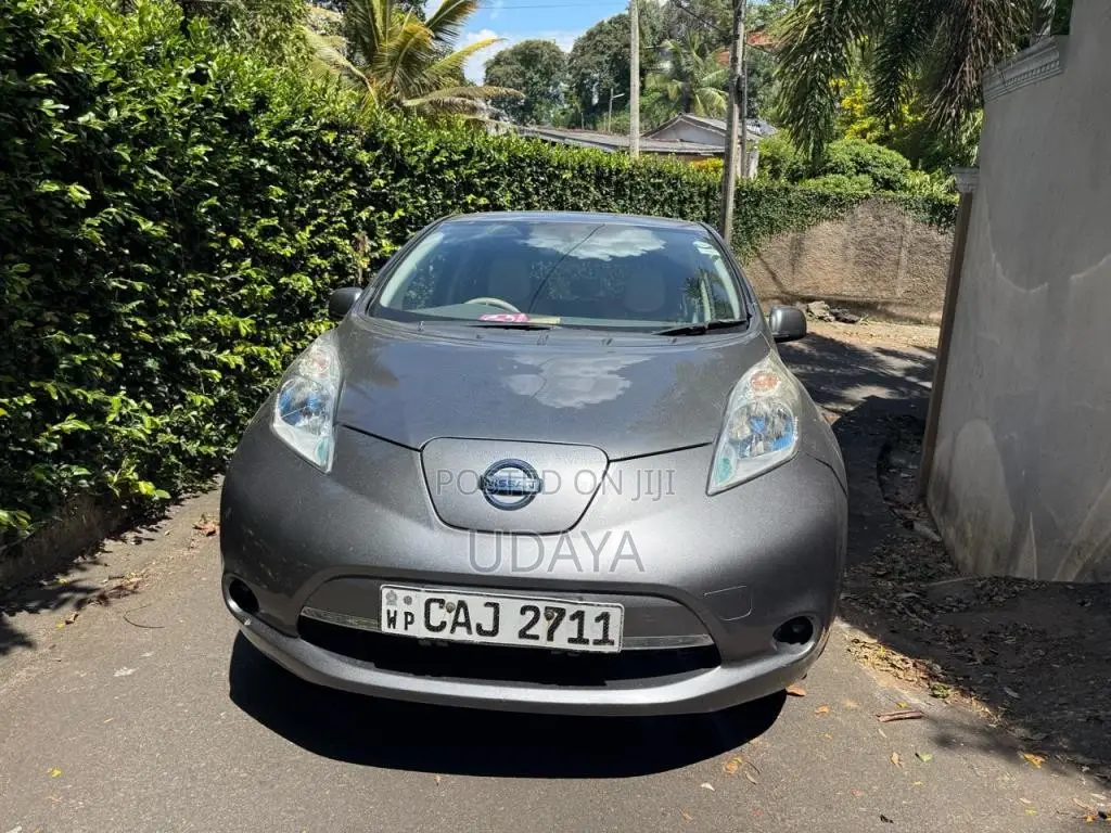 Nissan Leaf AZEO X GRAGE 2013 Car (Used)