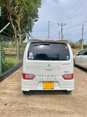 Suzuki Fz Safety 2019 Car (Used)