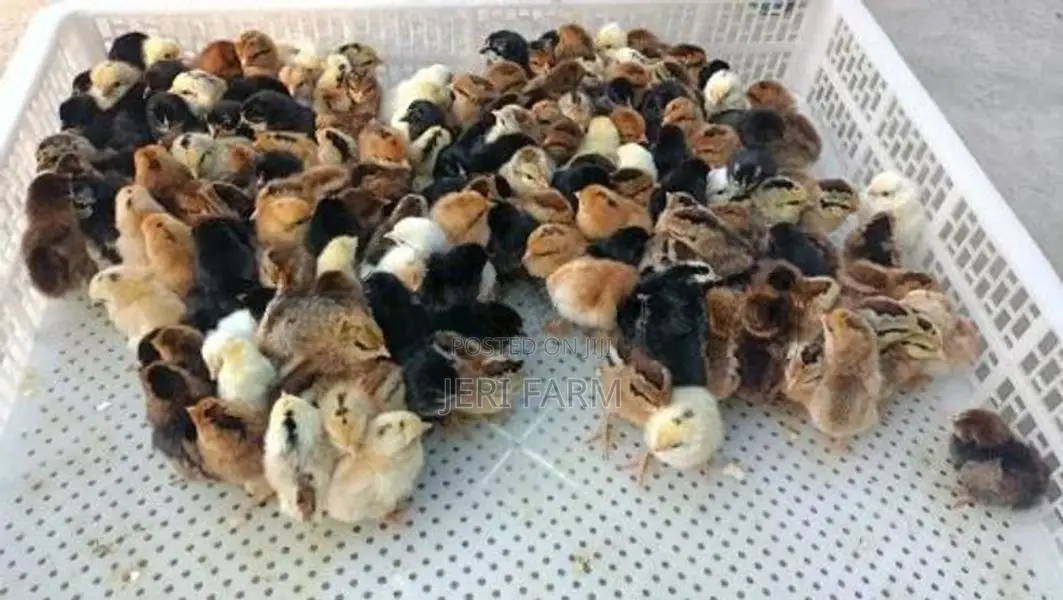 Country Chicken