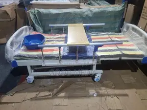 Four Function Manual Beds with Sanitory
