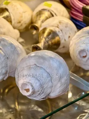සාම්ප්‍රදායික හක්ගෙඩිය