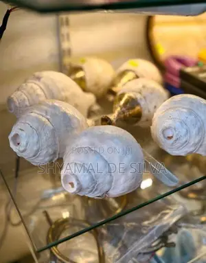සාම්ප්‍රදායික හක්ගෙඩිය