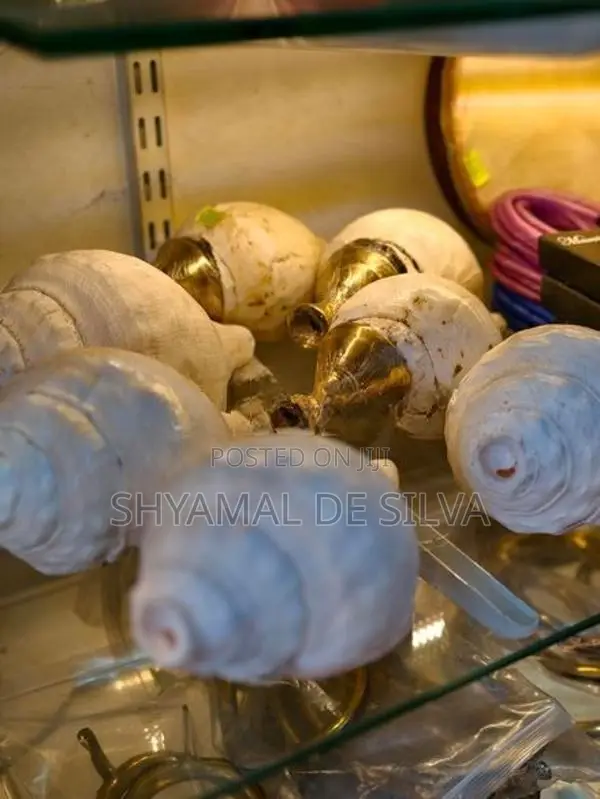 සාම්ප්‍රදායික හක්ගෙඩිය