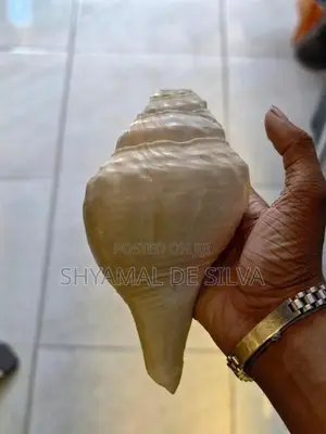 සාම්ප්‍රදායික හක්ගෙඩිය