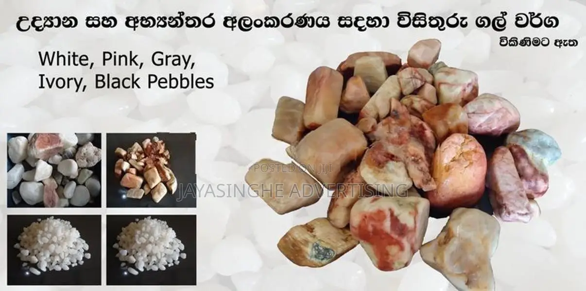 Garden Decorative Chips / Pebbles ( විසිතුරු ගල් වර්ග )