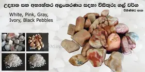 Garden Decorative Chips / Pebbles ( විසිතුරු ගල් වර්ග )