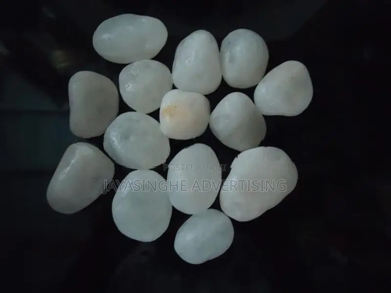 Garden Decorative Chips / Pebbles ( විසිතුරු ගල් වර්ග )