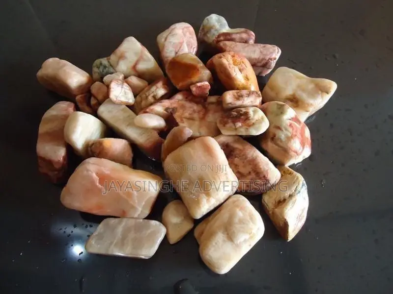 Garden Decorative Chips / Pebbles ( විසිතුරු ගල් වර්ග )