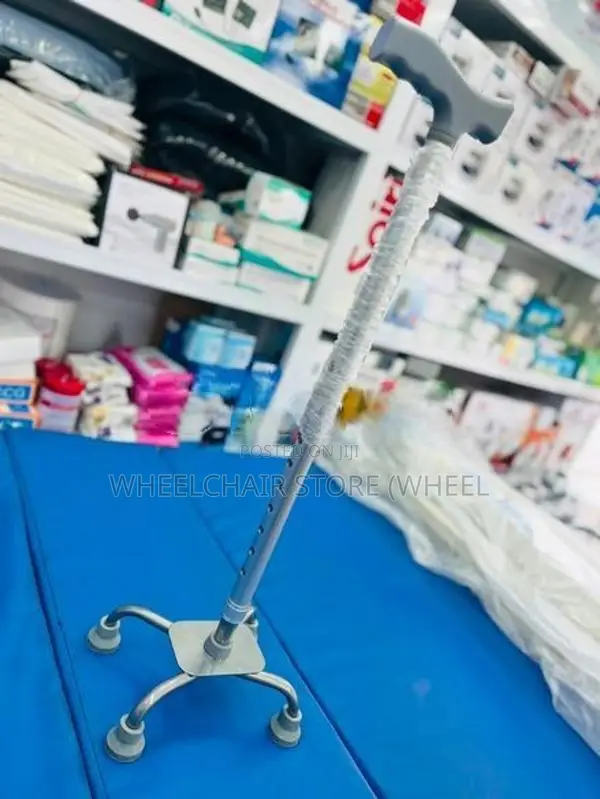 Quad Cane (BrownSilver)