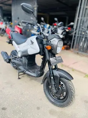 Honda Navi 2017