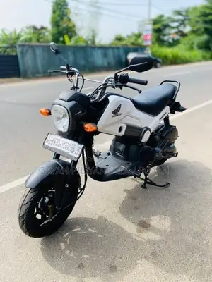 Honda Navi 2017
