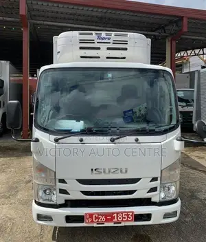 Isuzu Elf Freezer 10.5 2021