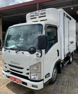 Isuzu Elf Freezer 10.5 2021