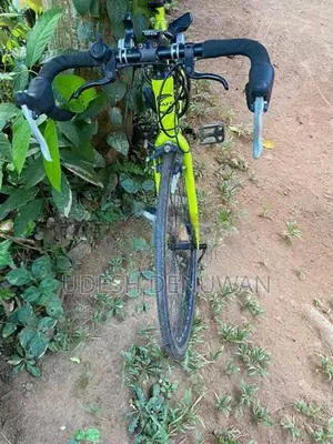 Racing Bicycle