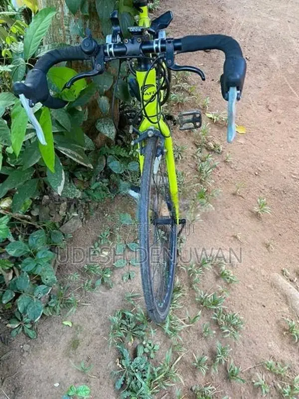 Racing Bicycle