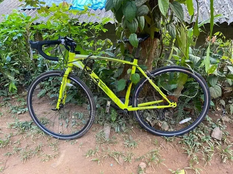 Racing Bicycle