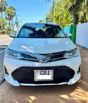 Toyota Axio WXB 2017