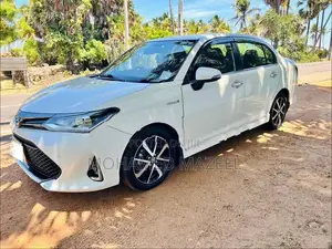 Toyota Axio WXB 2017