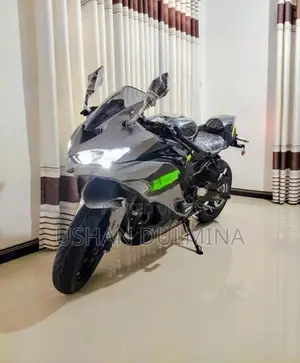 Kawasaki Ninja RR ZX SE 2026