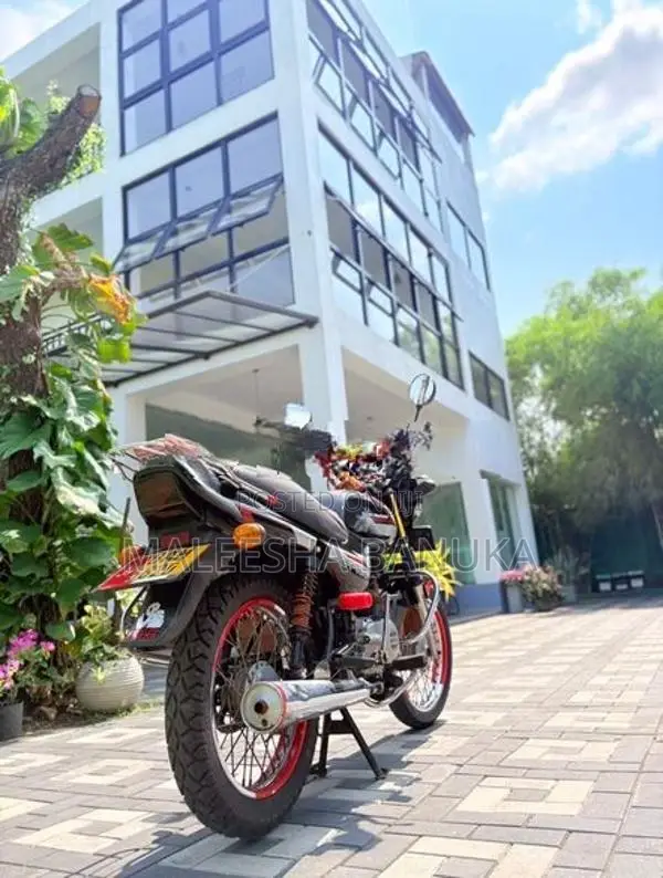 Bajaj CT100 2013