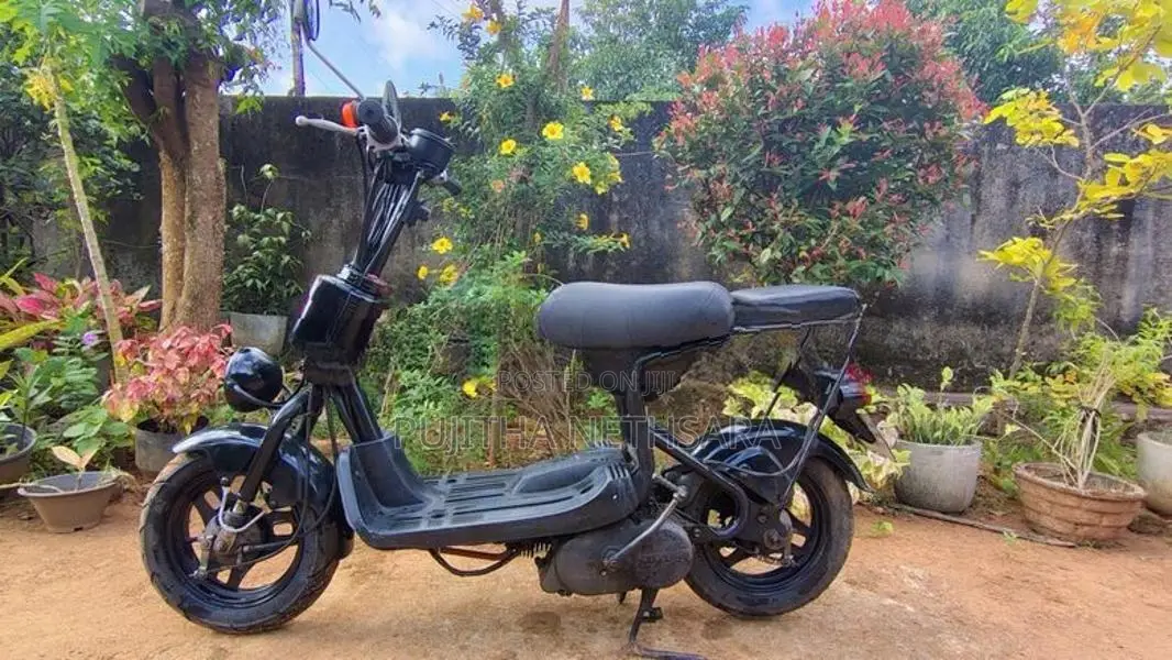 Suzuki SS 2010