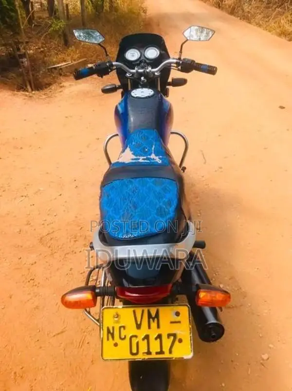 Bajaj Platina 2010