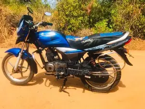 Bajaj Platina 2010