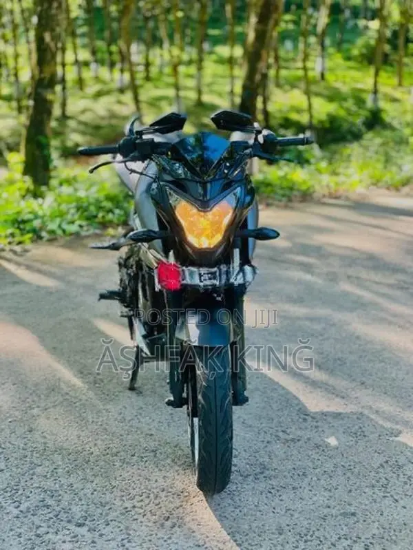 Bajaj Pulsar NS200 2017