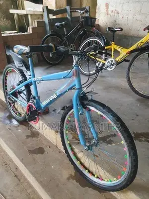 Dsi 24 Mountain Bicycle