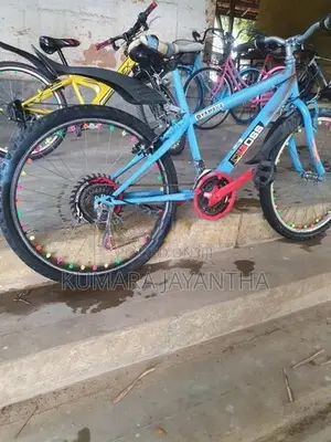 Dsi 24 Mountain Bicycle