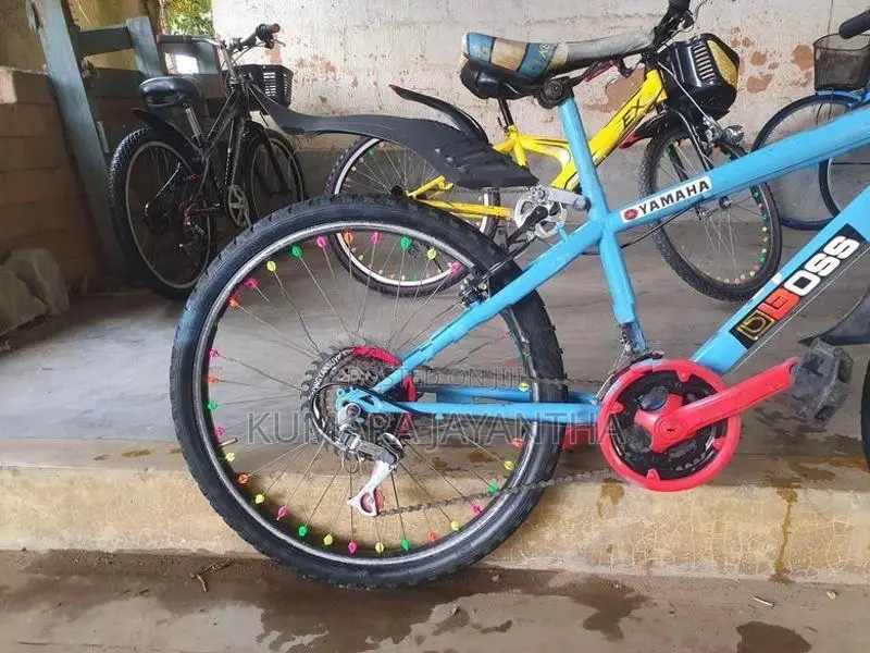 Dsi 24 Mountain Bicycle
