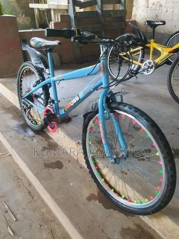 Dsi 24 Mountain Bicycle