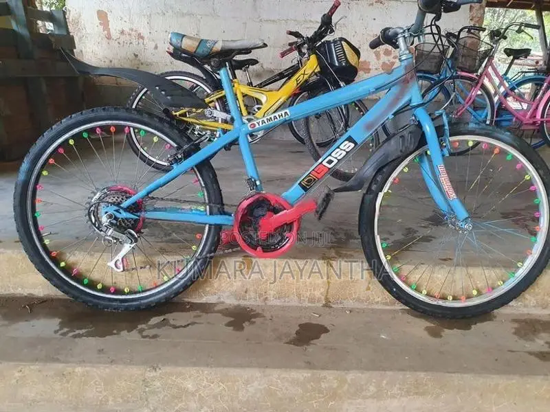 Dsi 24 Mountain Bicycle