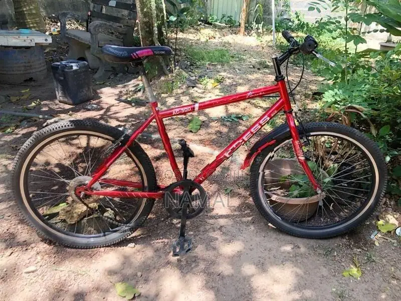 Kids Bicycle