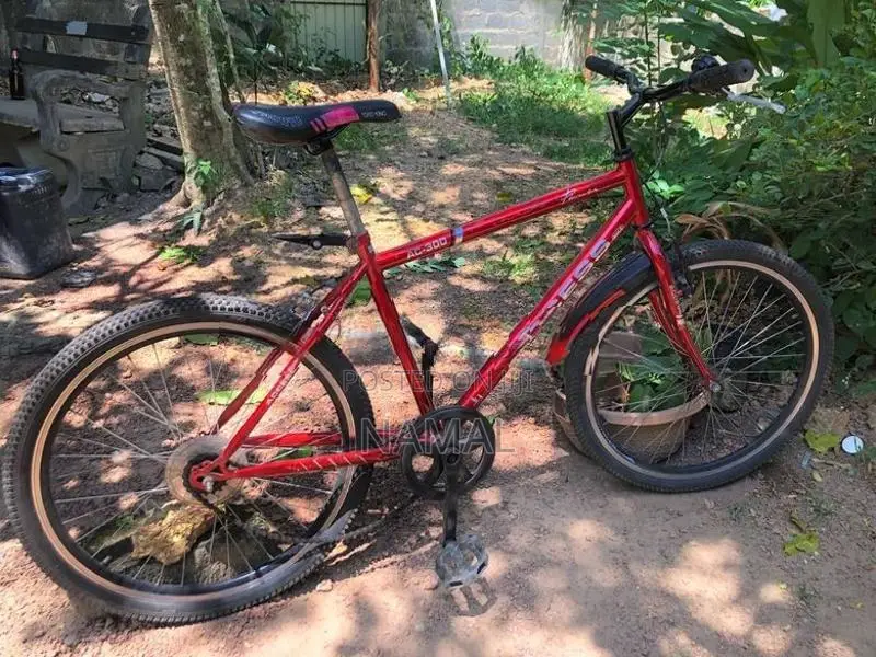 Kids Bicycle