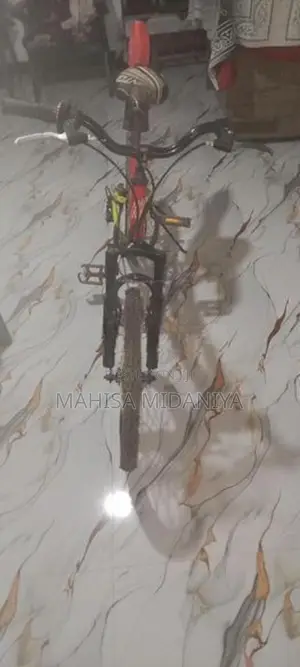 Kenton Bicycle