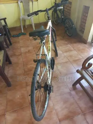 Trek Panasonic Japanese Gear Bicycle
