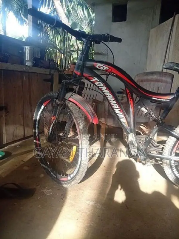 Tomahawk Mountain Bicycle
