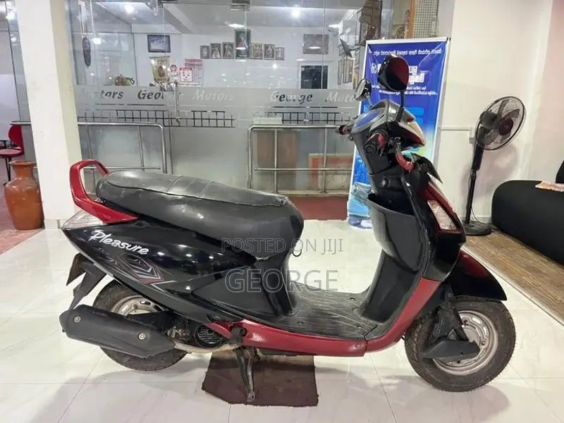 Hero Pleasure 2008