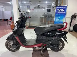 Hero Pleasure 2008
