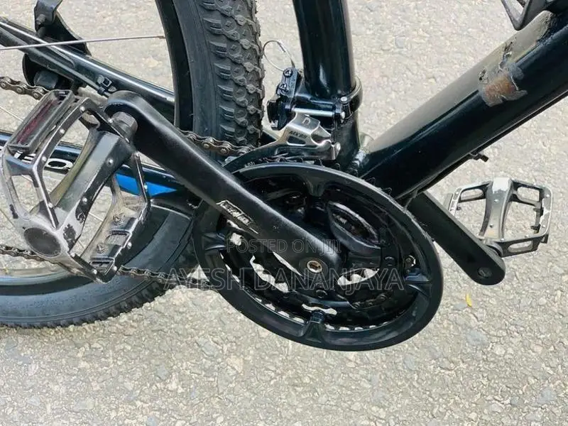 Ribow(urban Bike)