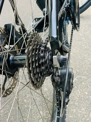 Ribow(urban Bike)