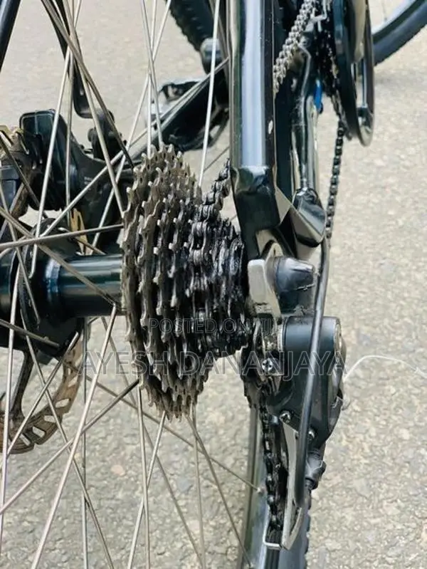 Ribow(urban Bike)