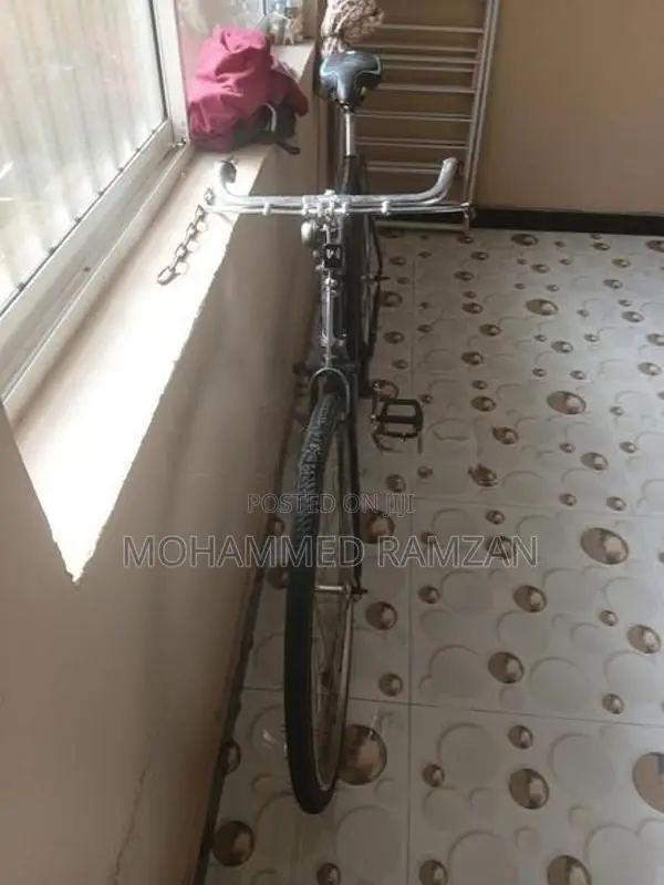 Lumala Bicycle