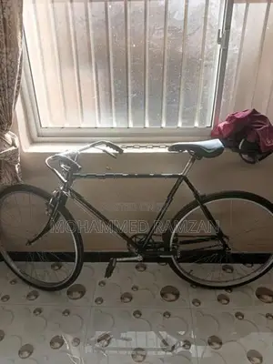 Lumala Bicycle