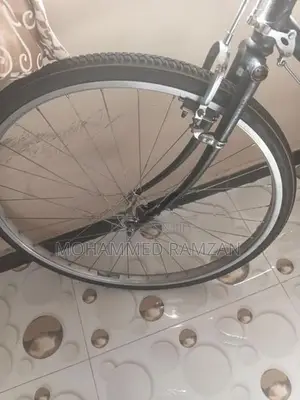 Lumala Bicycle