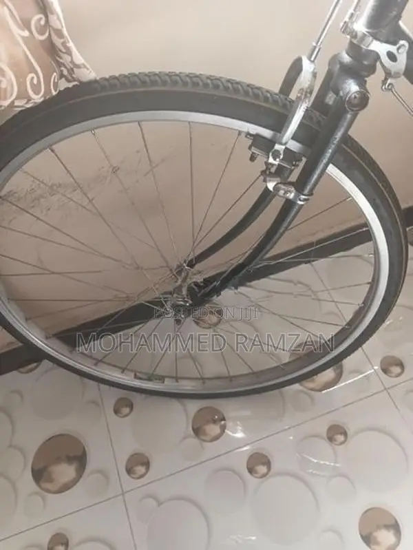 Lumala Bicycle