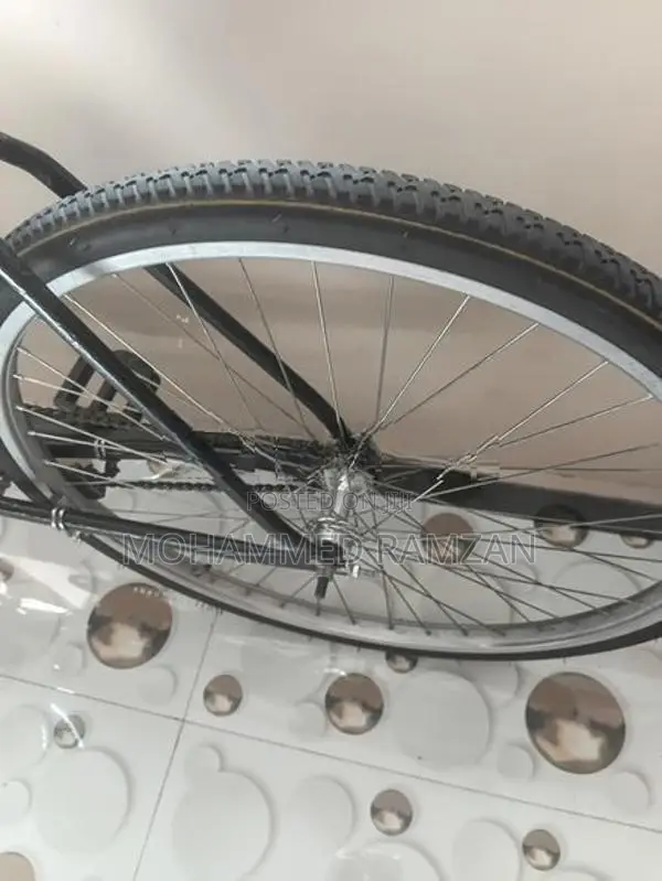 Lumala Bicycle