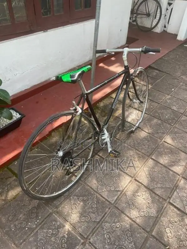 Bicycle