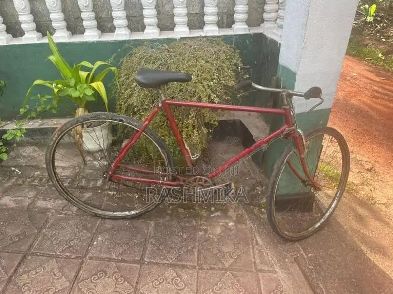 Bicycle